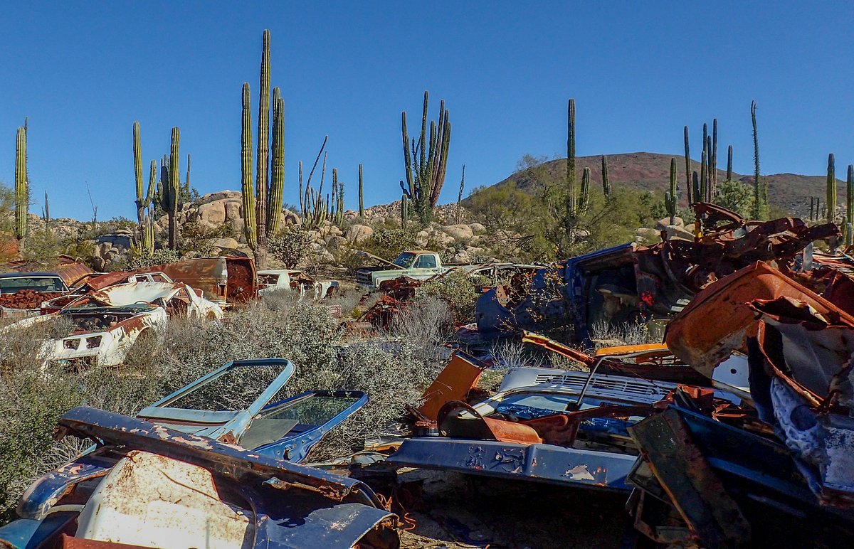 junkyard-in-the-cactus